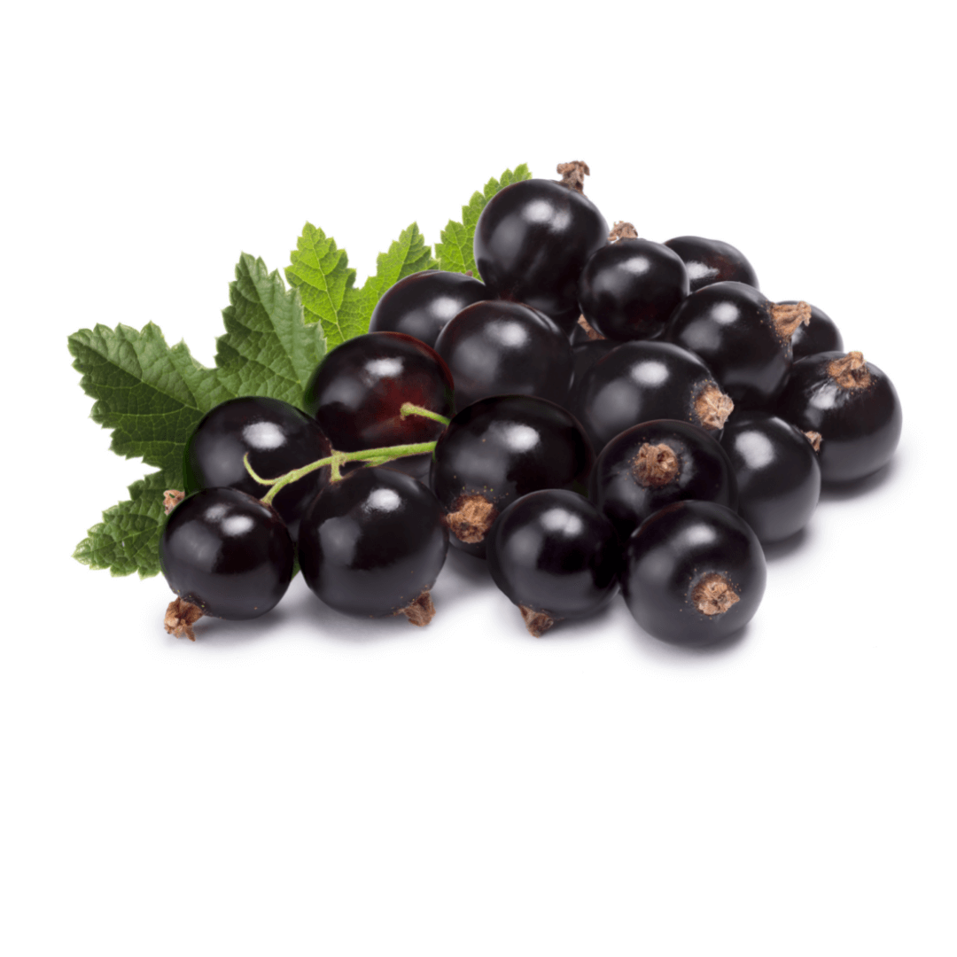 Névtelen terv - 2021-09-16T163537.924 (1)